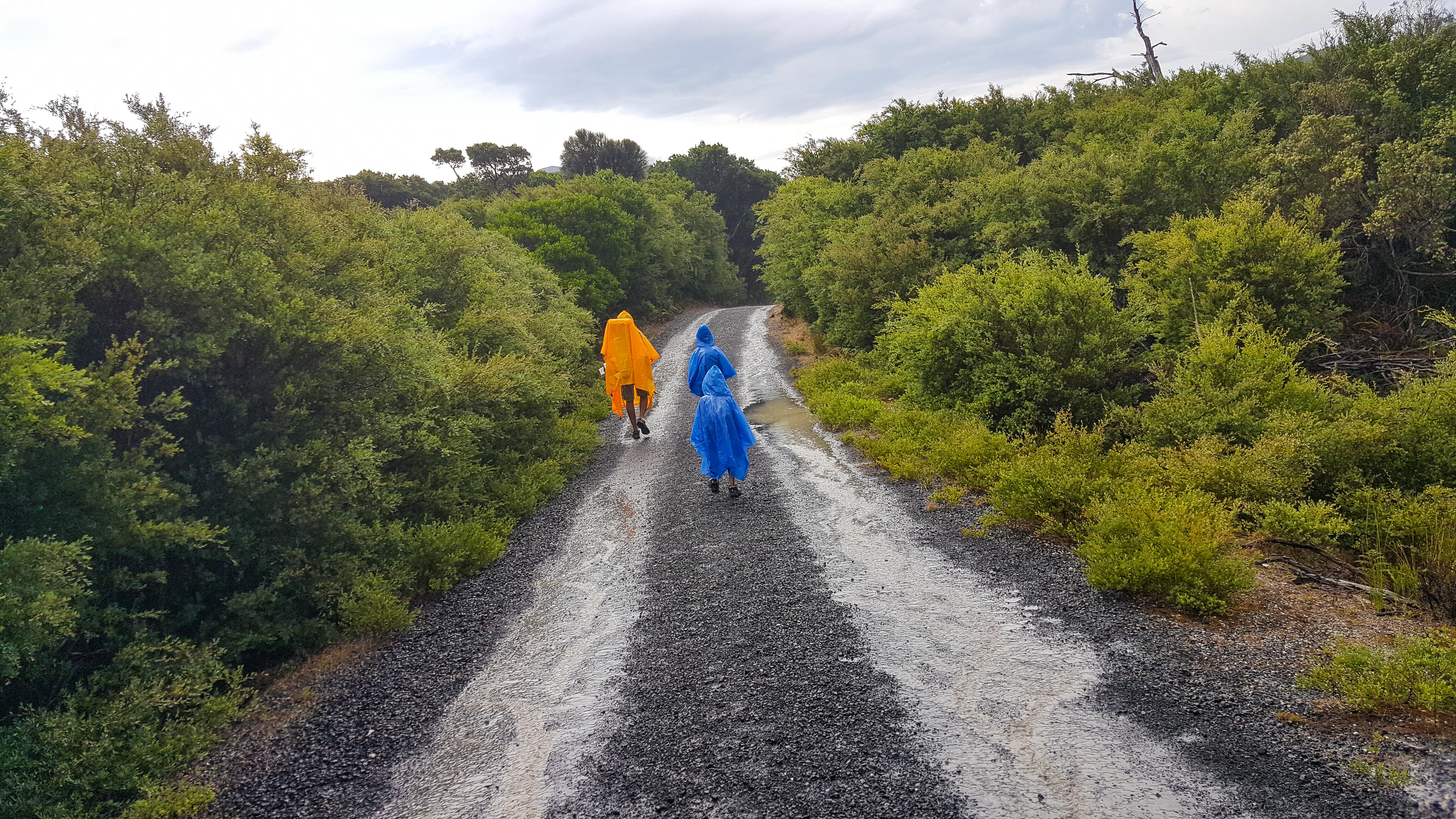 Rain along the way